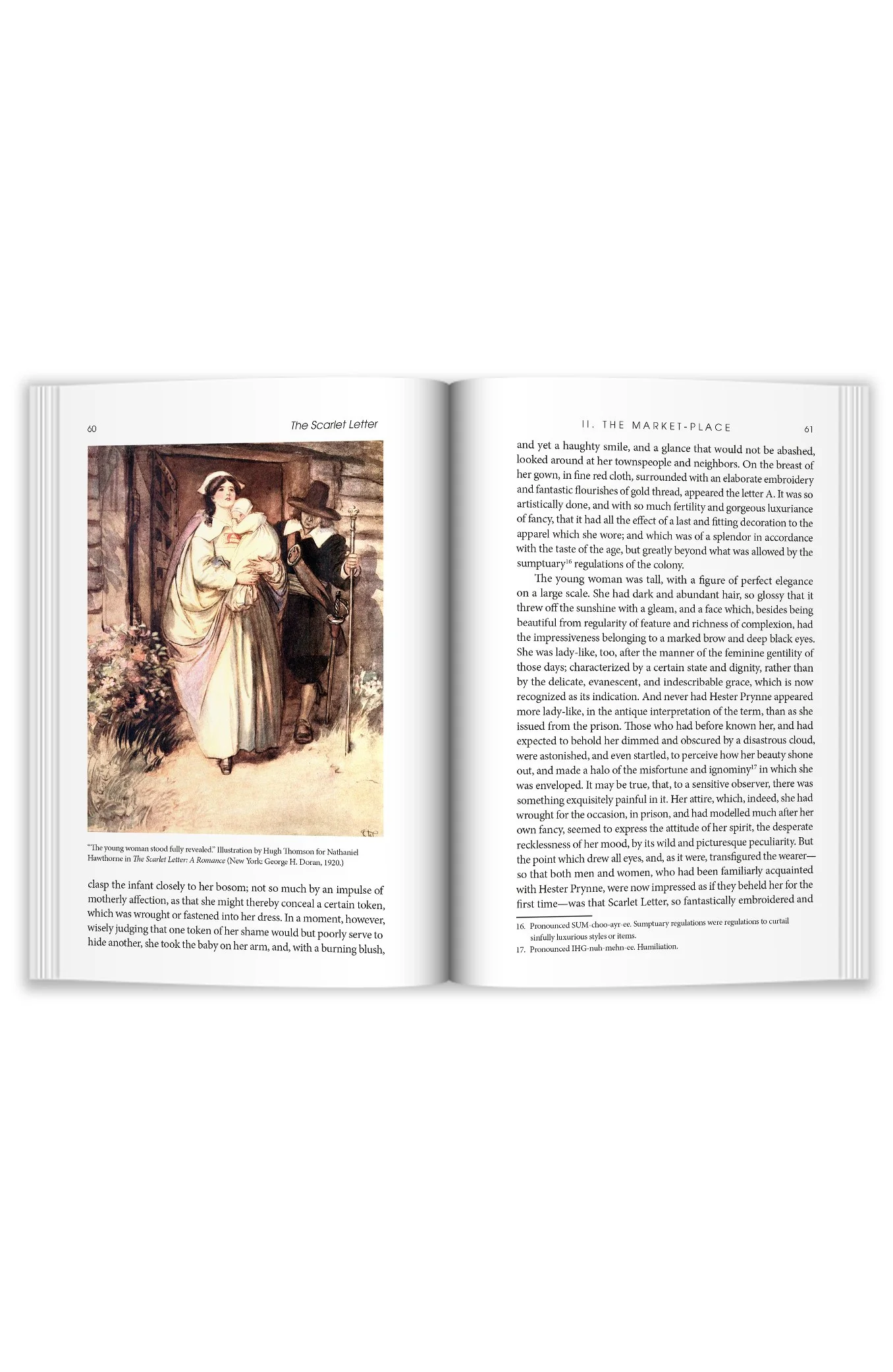Copper Lodge Library: THE SCARLET LETTER - Image 3