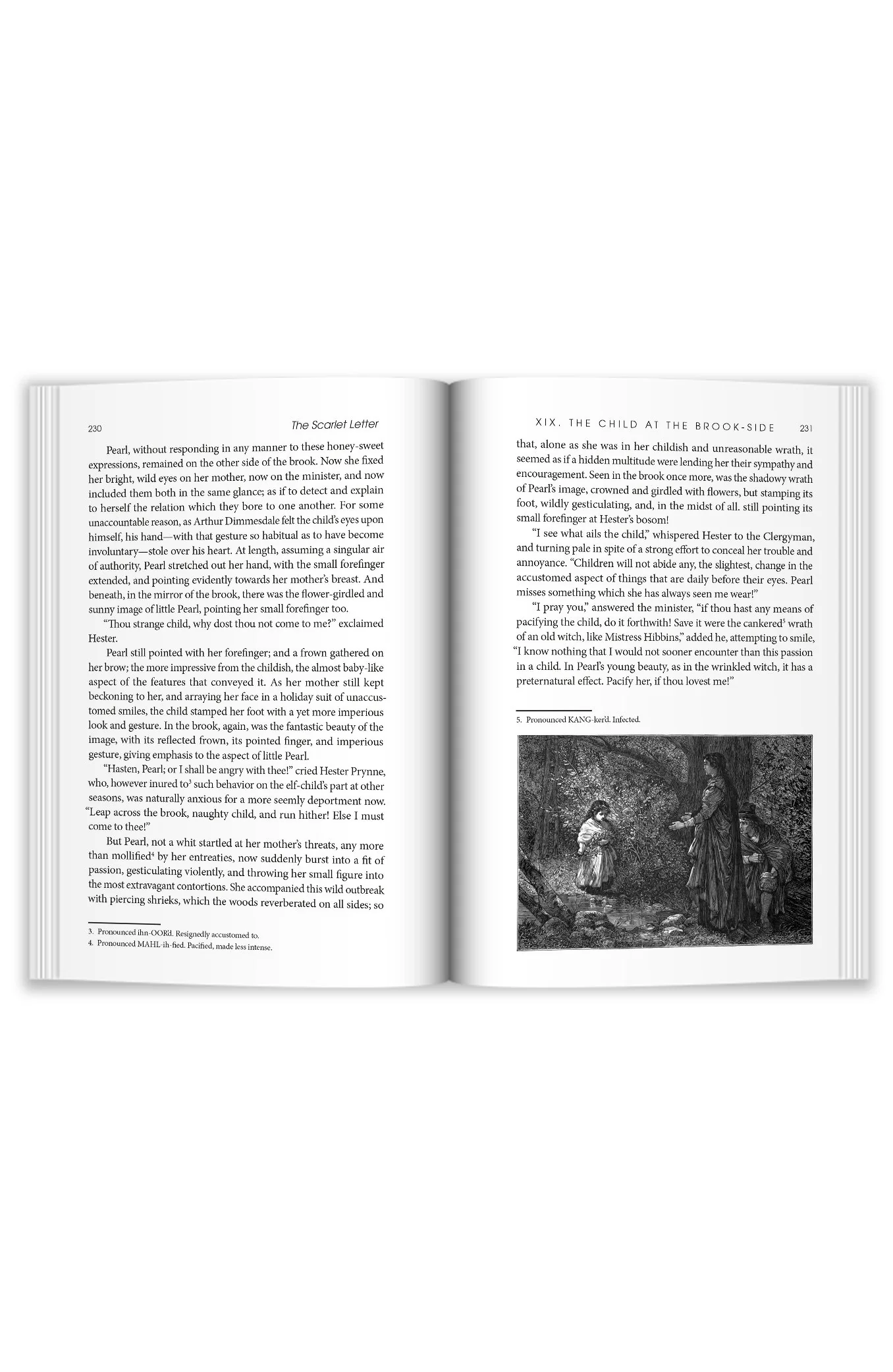 Copper Lodge Library: THE SCARLET LETTER - Image 5