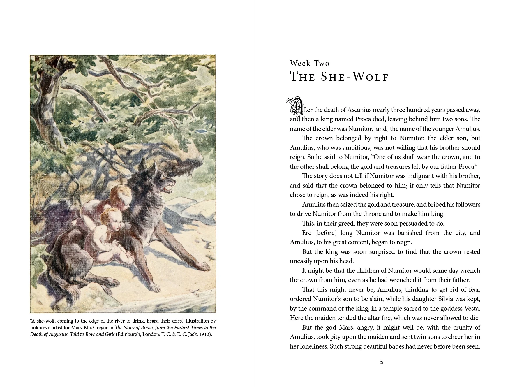 Copper Lodge Library: KINGS OF ROME - Image 5