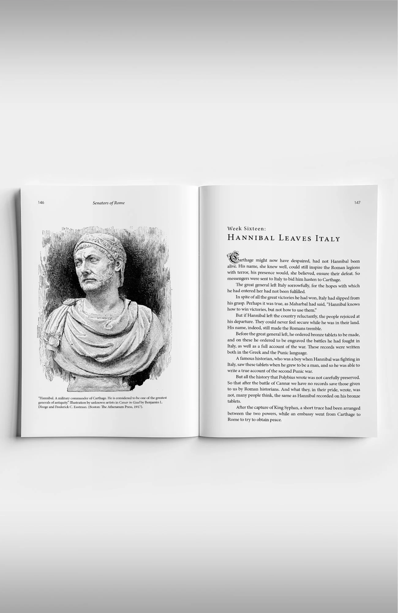Copper Lodge Library: SENATORS OF ROME - Image 5