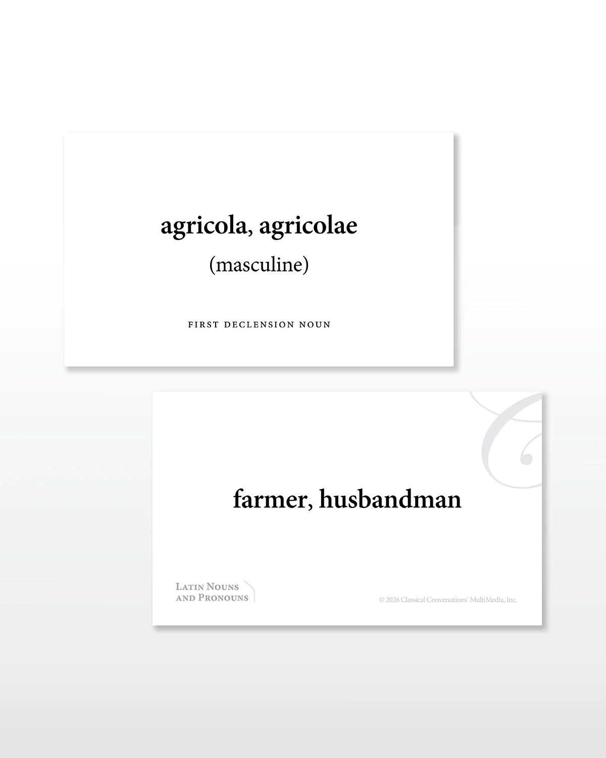 Latin Nouns and Pronouns Flashcards - Image 3