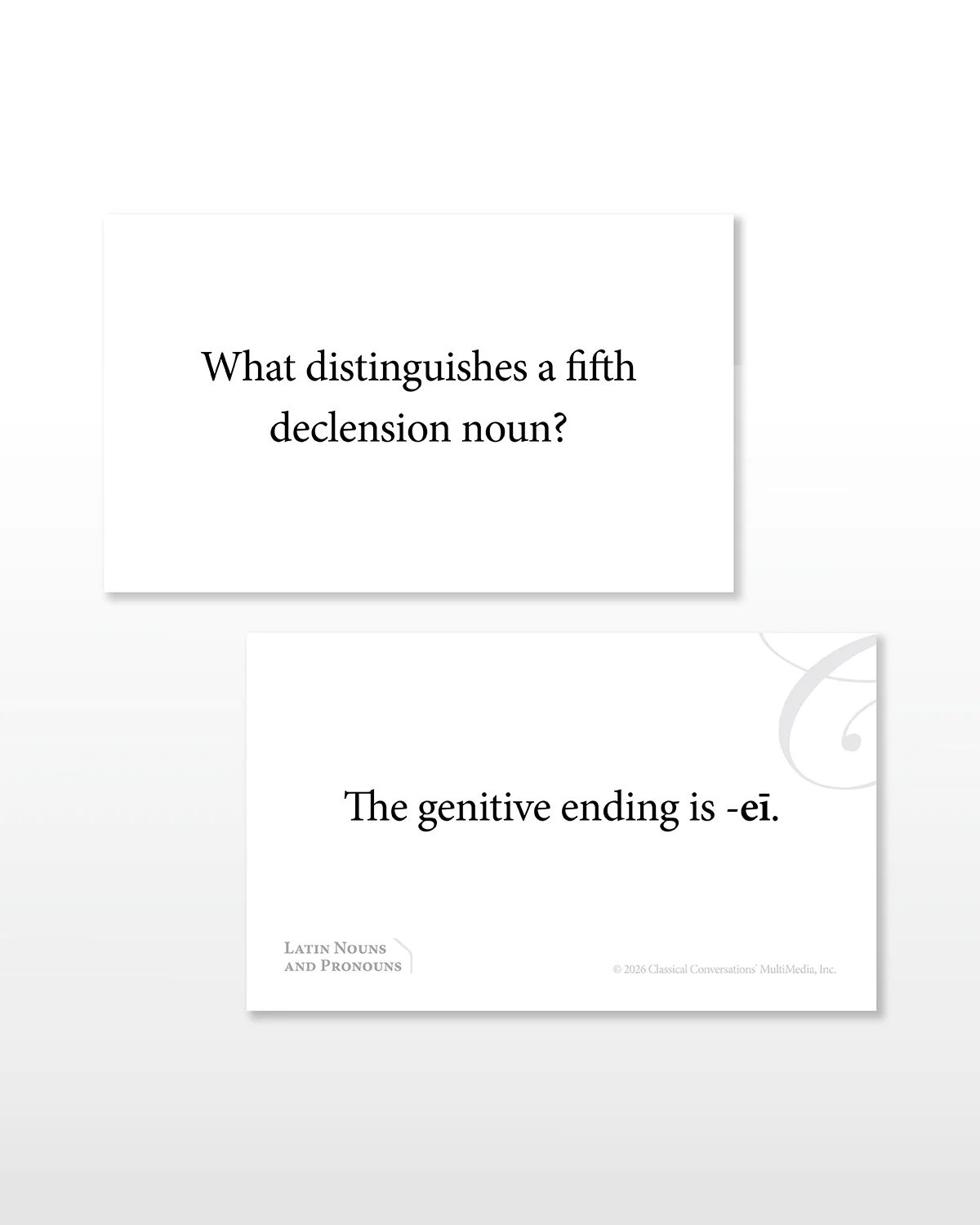 Latin Nouns and Pronouns Flashcards - Image 4