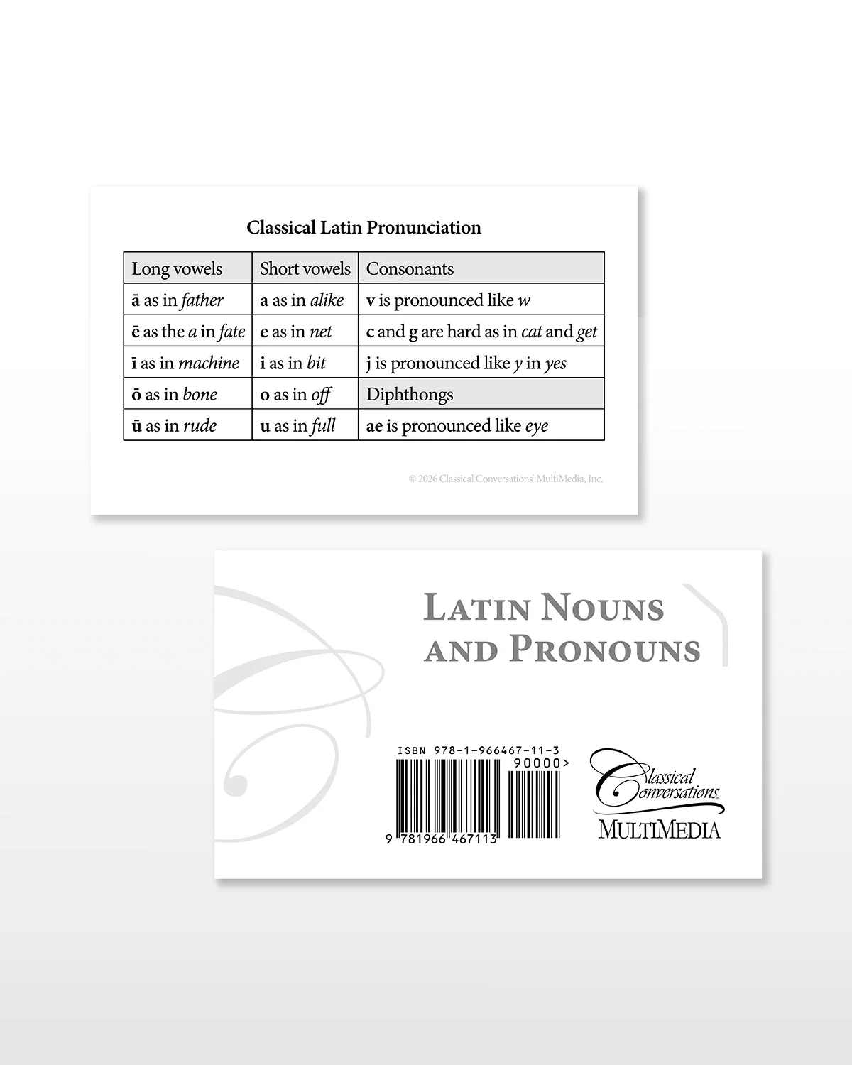 Latin Nouns and Pronouns Flashcards - Image 5